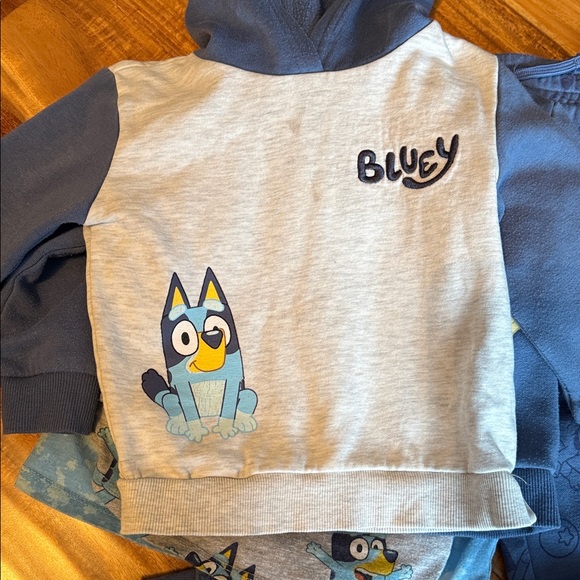 Bluey toddler Shirt and Hoodie Set in 3T - Picture 7 of 7